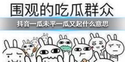 抖音吃瓜PPT,揭秘热门事件背后的真相与笑料